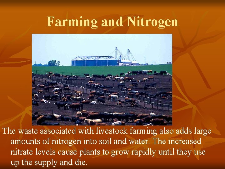 Farming and Nitrogen The waste associated with livestock farming also adds large amounts of