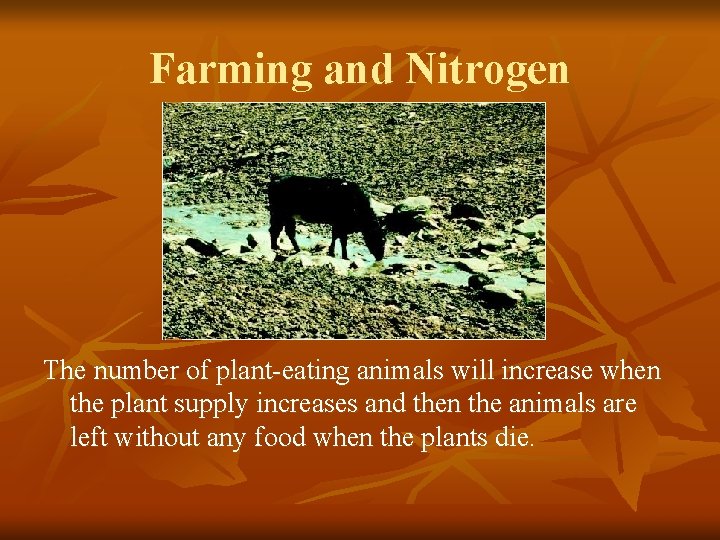 Farming and Nitrogen The number of plant-eating animals will increase when the plant supply