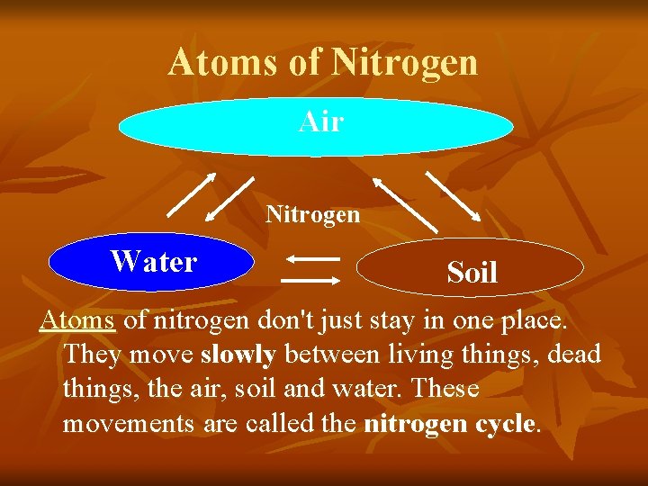 Atoms of Nitrogen Air Nitrogen Water Soil Atoms of nitrogen don't just stay in