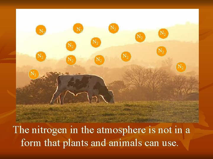 N 2 N 2 N 2 N 2 The nitrogen in the atmosphere is