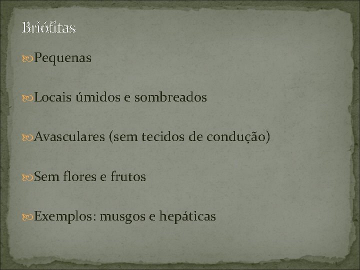 Briófitas Pequenas Locais úmidos e sombreados Avasculares (sem tecidos de condução) Sem flores e