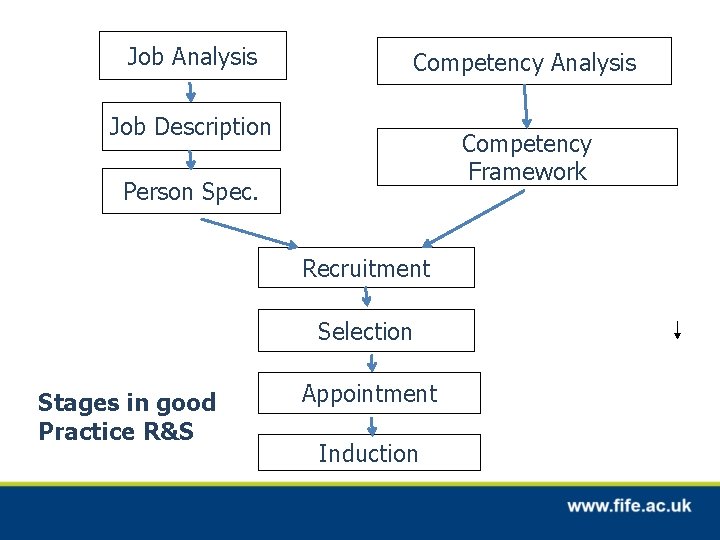 Job Analysis Competency Analysis Job Description Competency Framework Person Spec. Recruitment Selection Stages in