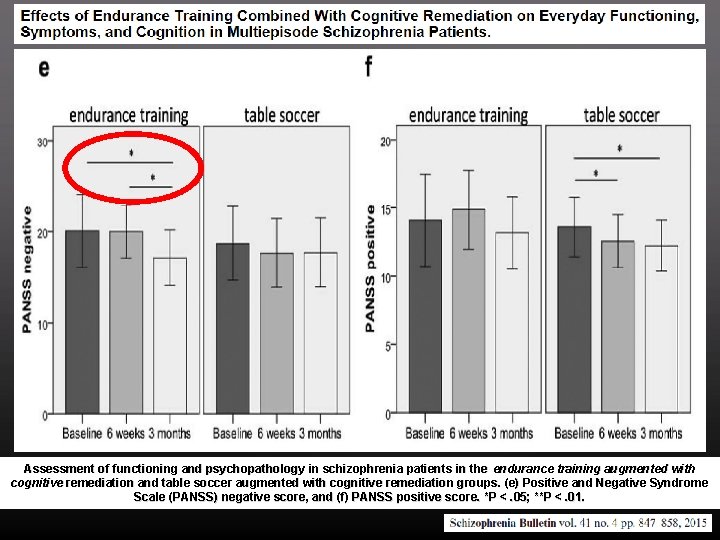 Assessment of functioning and psychopathology in schizophrenia patients in the endurance training augmented with