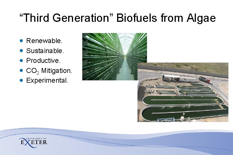 Bioengineering the Future with Shell Oil Transport Fuels