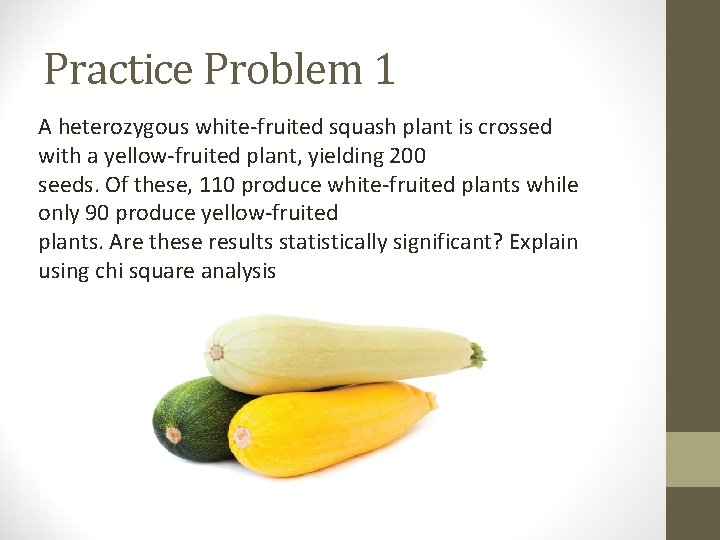 Practice Problem 1 A heterozygous white-fruited squash plant is crossed with a yellow-fruited plant,