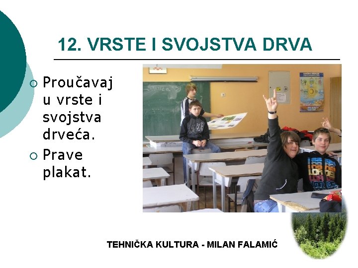 12. VRSTE I SVOJSTVA DRVA Proučavaj u vrste i svojstva drveća. ¡ Prave plakat.