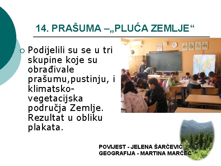 14. PRAŠUMA –„PLUĆA ZEMLJE“ ¡ Podijelili su se u tri skupine koje su obrađivale