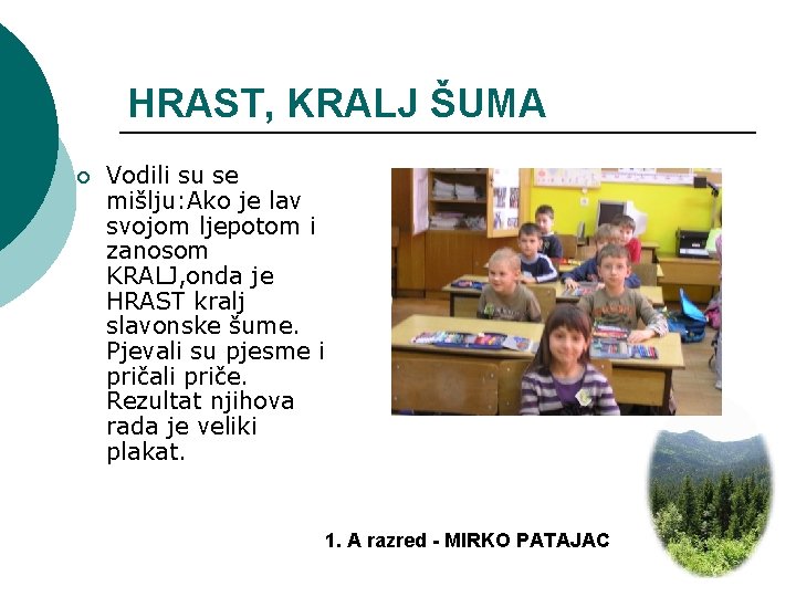 HRAST, KRALJ ŠUMA ¡ Vodili su se mišlju: Ako je lav svojom ljepotom i