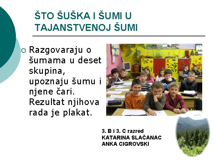 ŠTO ŠUŠKA I ŠUMI U TAJANSTVENOJ ŠUMI ¡ Razgovaraju o šumama u deset skupina,