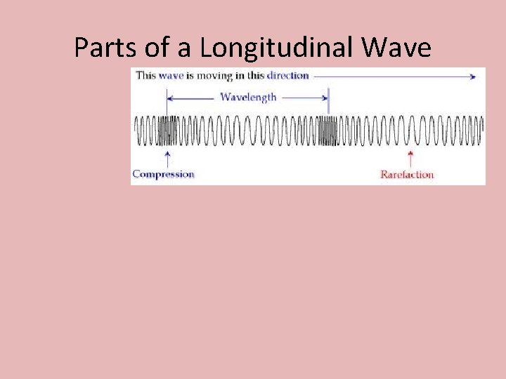Parts of a Longitudinal Wave 