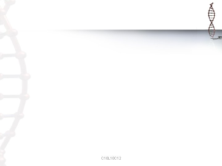 C 10 L 10 C 12 