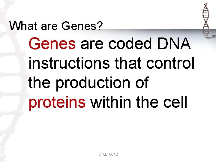 What are Genes? Genes are coded DNA instructions that control the production of proteins