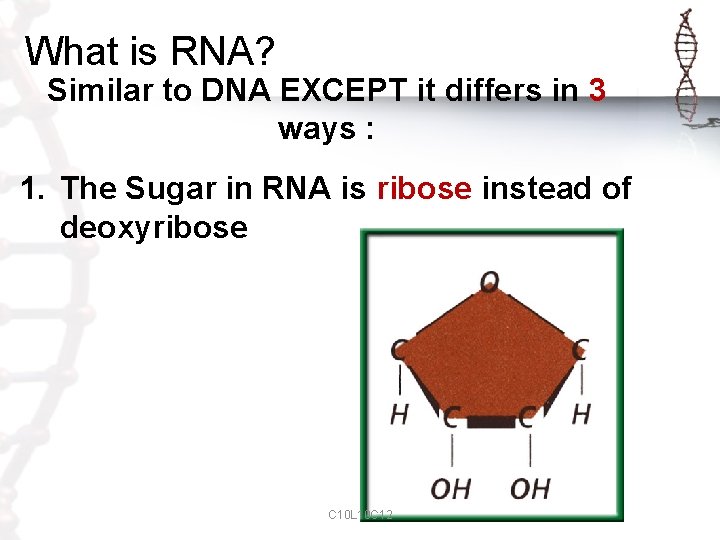 What is RNA? Similar to DNA EXCEPT it differs in 3 ways : 1.