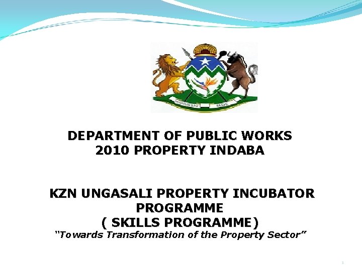 DEPARTMENT OF PUBLIC WORKS 2010 PROPERTY INDABA KZN UNGASALI PROPERTY INCUBATOR PROGRAMME ( SKILLS