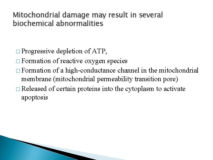 Mitochondrial damage may result in several biochemical abnormalities � Progressive depletion of ATP, �