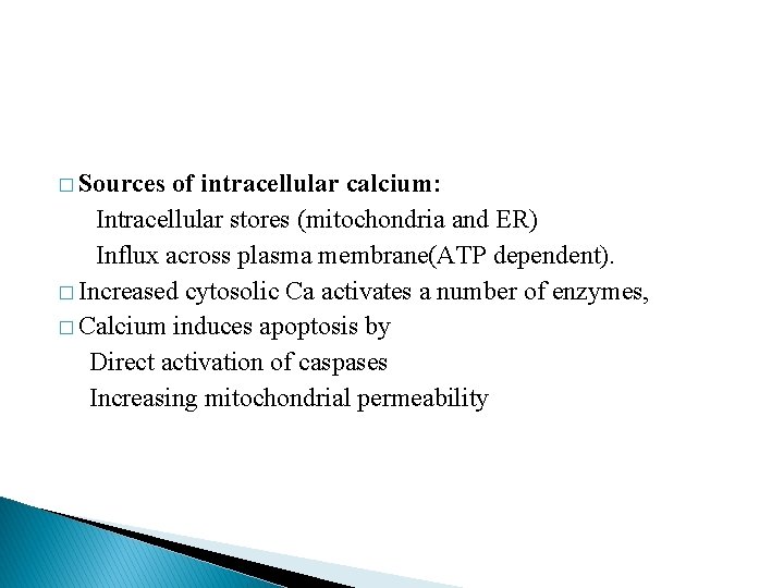 � Sources of intracellular calcium: Intracellular stores (mitochondria and ER) Influx across plasma membrane(ATP