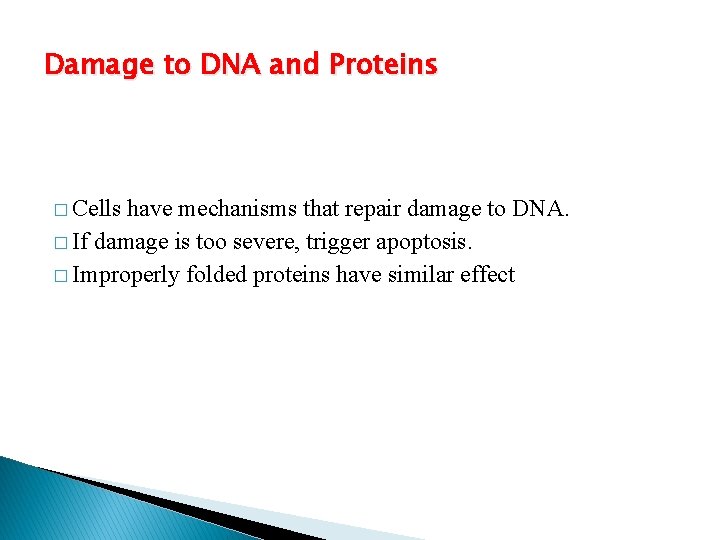 Damage to DNA and Proteins � Cells have mechanisms that repair damage to DNA.