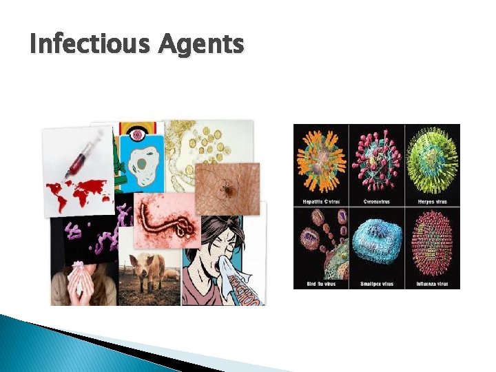 Infectious Agents 