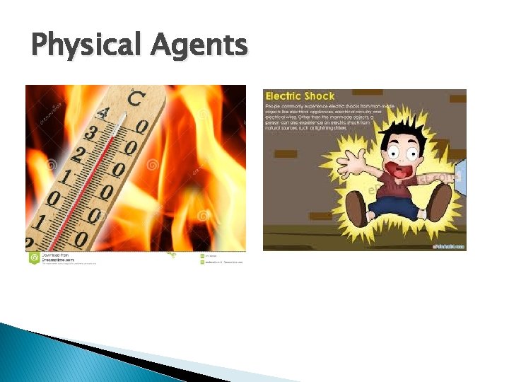 Physical Agents 