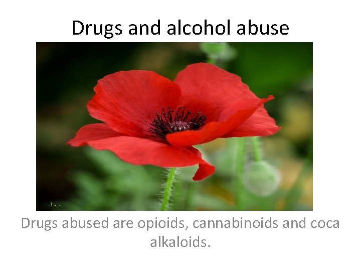 Drugs and alcohol abuse Drugs abused are opioids, cannabinoids and coca alkaloids. 