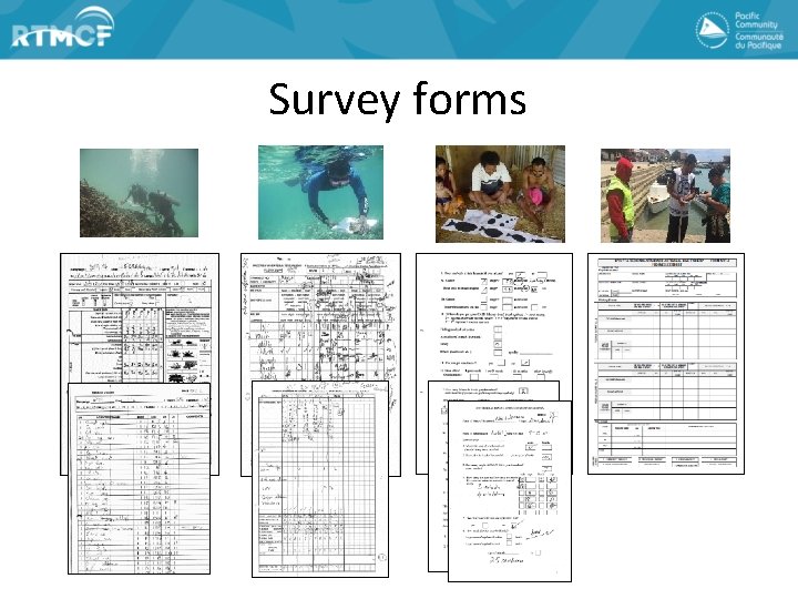 Survey forms 