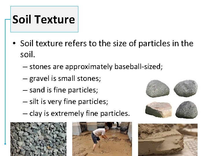 Soil Texture • Soil texture refers to the size of particles in the soil.