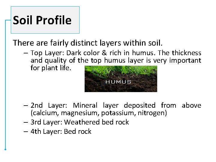 Soil Profile There are fairly distinct layers within soil. – Top Layer: Dark color