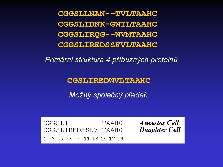 CGGSLLNAN--TVLTAAHC CGGSLIDNK-GWILTAAHC CGGSLIRQG--WVMTAAHC CGGSLIREDSSFVLTAAHC Primární struktura 4 příbuzných proteinů CGSLIREDWVLTAAHC Možný společný předek 