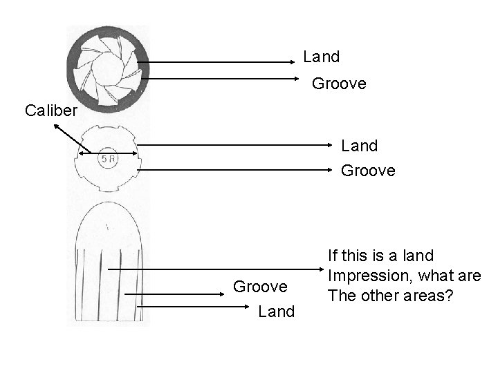 Land Groove Caliber Land Groove Land If this is a land Impression, what are