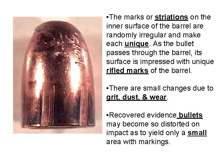  • The marks or striations on the inner surface of the barrel are