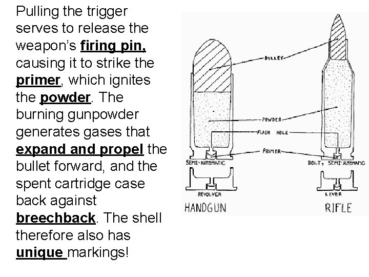 Pulling the trigger serves to release the weapon’s firing pin, causing it to strike