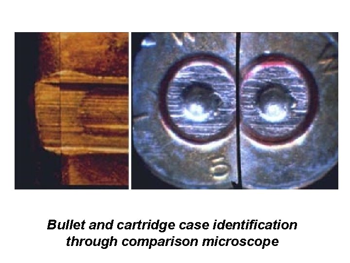 Bullet and cartridge case identification through comparison microscope 