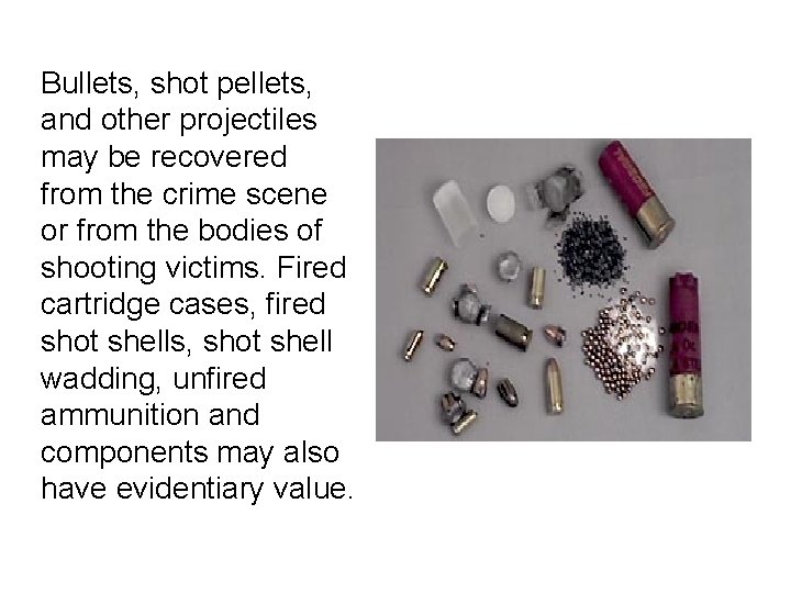 Bullets, shot pellets, and other projectiles may be recovered from the crime scene or Bullets, shot pellets, and other projectiles may be recovered from the crime scene or