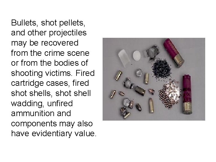 Bullets, shot pellets, and other projectiles may be recovered from the crime scene or