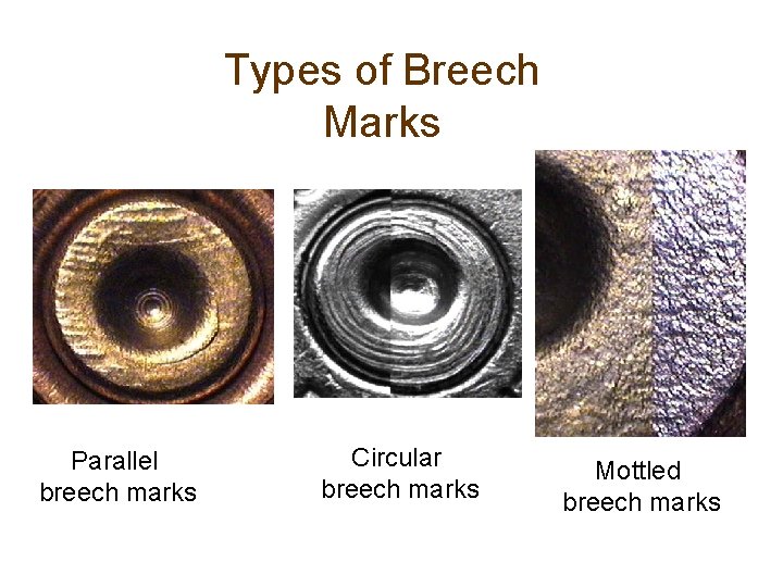 Types of Breech Marks Parallel breech marks Circular breech marks Mottled breech marks 