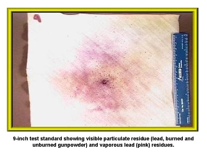 9 -inch test standard showing visible particulate residue (lead, burned and unburned gunpowder) and