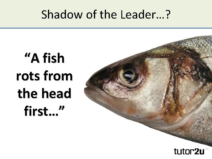Shadow of the Leader…? “A fish rots from the head first…” 
