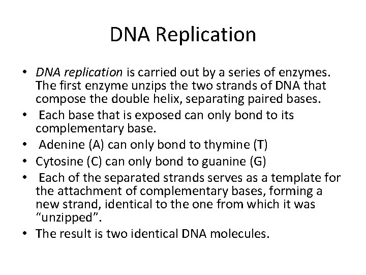 DNA Replication • DNA replication is carried out by a series of enzymes. The
