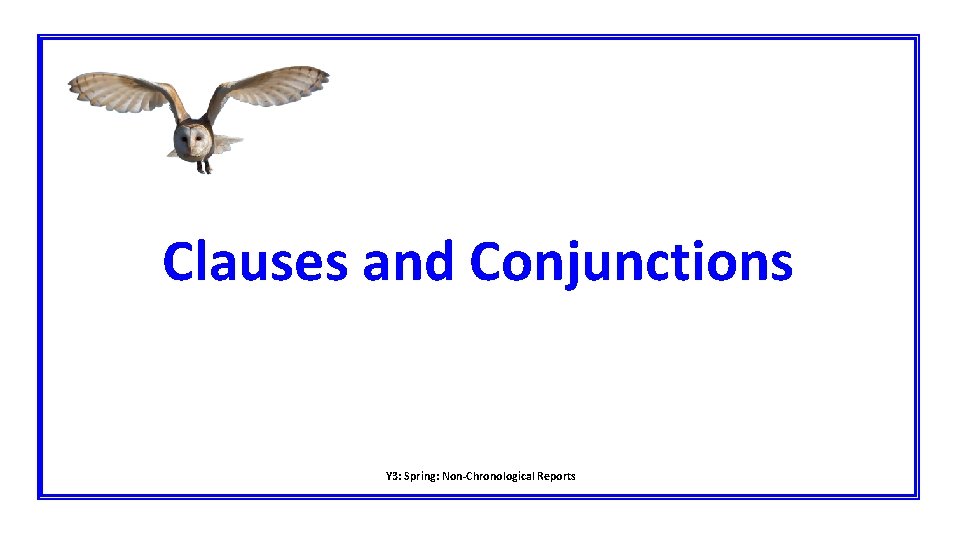 Clauses and Conjunctions Y 3: Spring: Non-Chronological Reports 