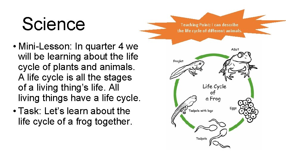 Science • Mini-Lesson: In quarter 4 we will be learning about the life cycle