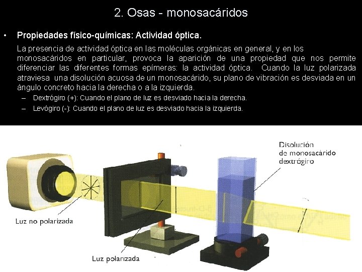 2. Osas - monosacáridos • Propiedades físico-químicas: Actividad óptica. La presencia de actividad óptica