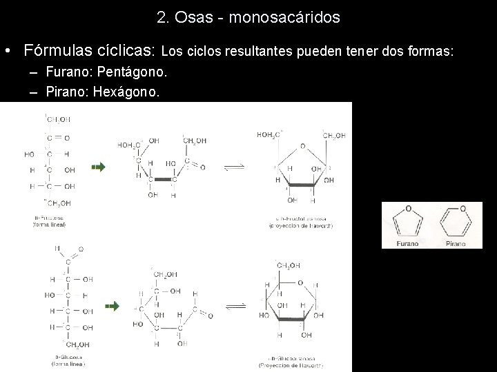 2. Osas - monosacáridos • Fórmulas cíclicas: Los ciclos resultantes pueden tener dos formas: