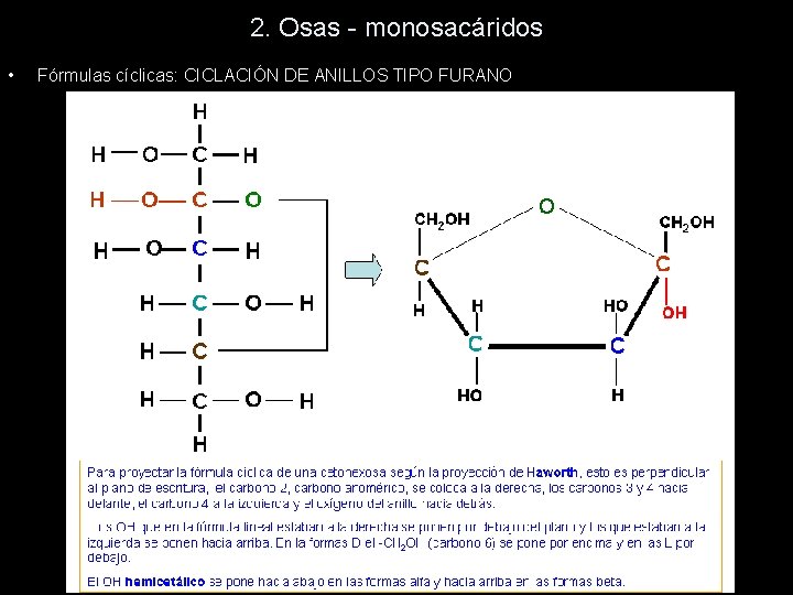 2. Osas - monosacáridos • Fórmulas cíclicas: CICLACIÓN DE ANILLOS TIPO FURANO 