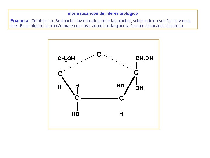 2. Osas - monosacáridos • HEXOSAS. Forman estructuras cíclicas. 
