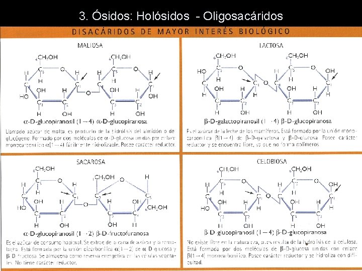 Ejemplos de oligosacaridos