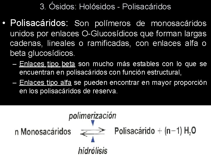 3. Ósidos: Holósidos - Polisacáridos • Polisacáridos: Son polímeros de monosacáridos unidos por enlaces