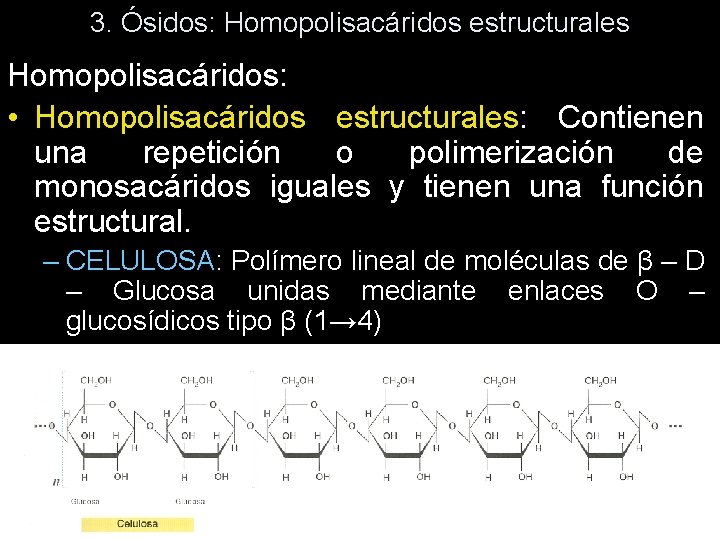 3. Ósidos: Homopolisacáridos estructurales Homopolisacáridos: • Homopolisacáridos estructurales: Contienen una repetición o polimerización de
