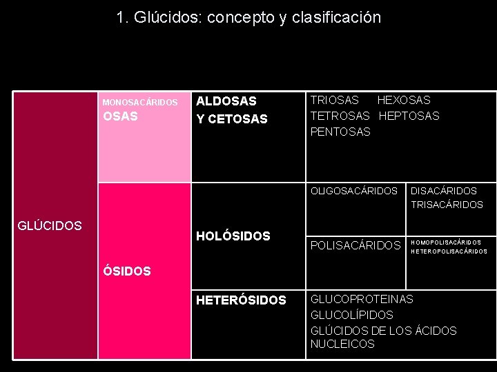 1. Glúcidos: concepto y clasificación MONOSACÁRIDOS OSAS GLÚCIDOS ALDOSAS Y CETOSAS HOLÓSIDOS TRIOSAS HEXOSAS