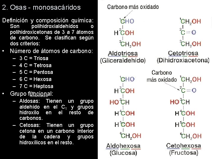 2. Osas - monosacáridos Definición y composición química: Son polihidroxialdehídos o polihidroxicetonas de 3