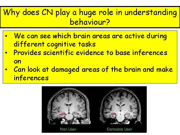 Why does CN play a huge role in understanding behaviour? • We can see